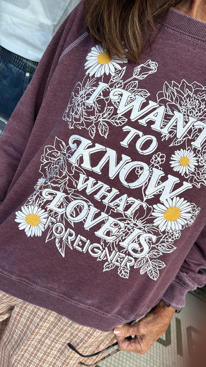 The Love Language Foreigner Sweatshirt